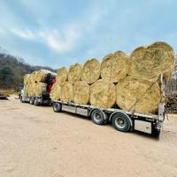 Fieno foraggio primo e secondo taglio