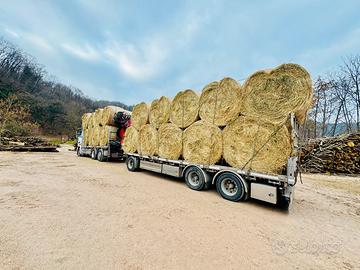 Fieno foraggio primo e secondo taglio