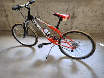 Bicicletta Ruota 24”