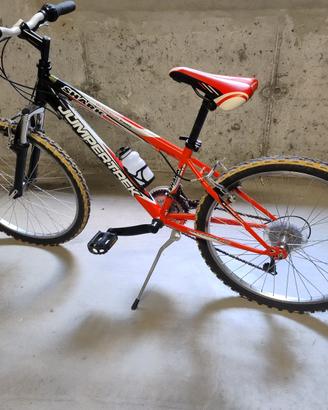 Bicicletta Ruota 24”