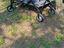 Immagine 6