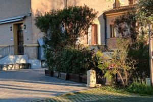 Ristorante Pizzeria avviato bene