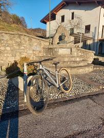 Bicicletta mtb Specialized 
