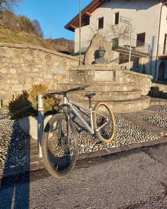 Bicicletta mtb Specialized 