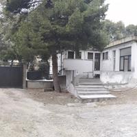 Ampio e luminoso ristorante spazio esterno privato