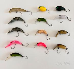 Lotto misto trout area