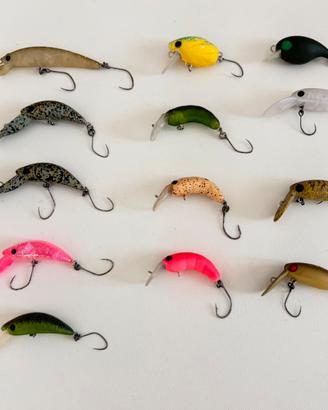 Lotto misto trout area