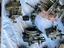 Immagine 5