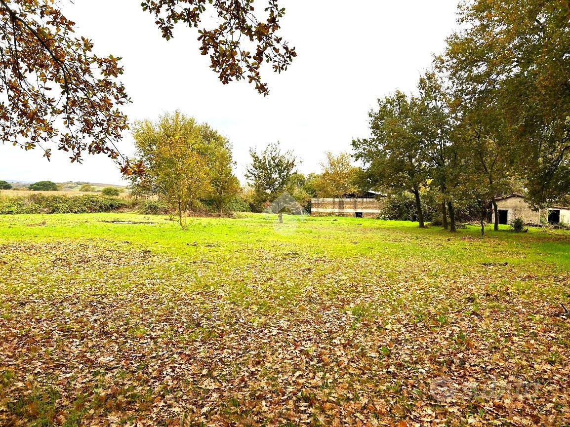 RUSTICO A SUTRI - Vista 2