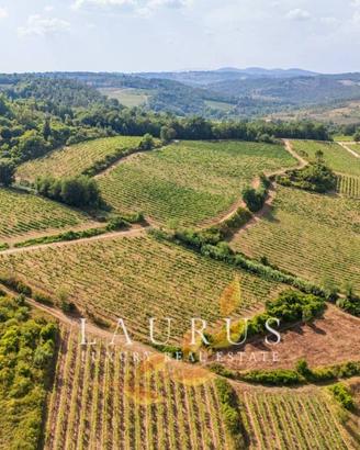 Terreno di 500000 m² a San Casciano in Val di Pesa