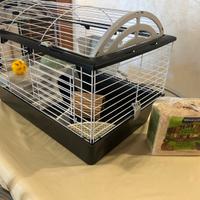 Gabbia per porcellino d’india