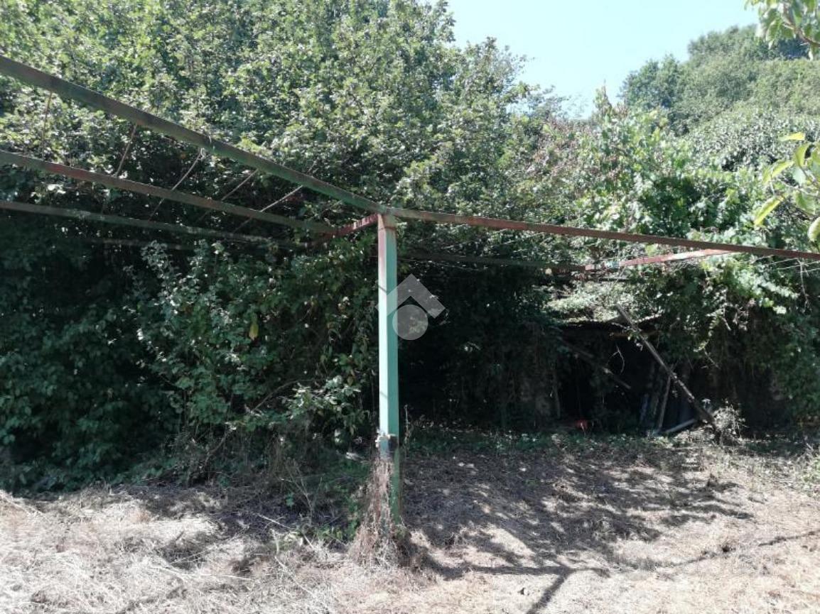 RUSTICO A OLEVANO ROMANO - Vista 3