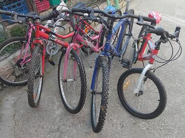 Bici per famiglia