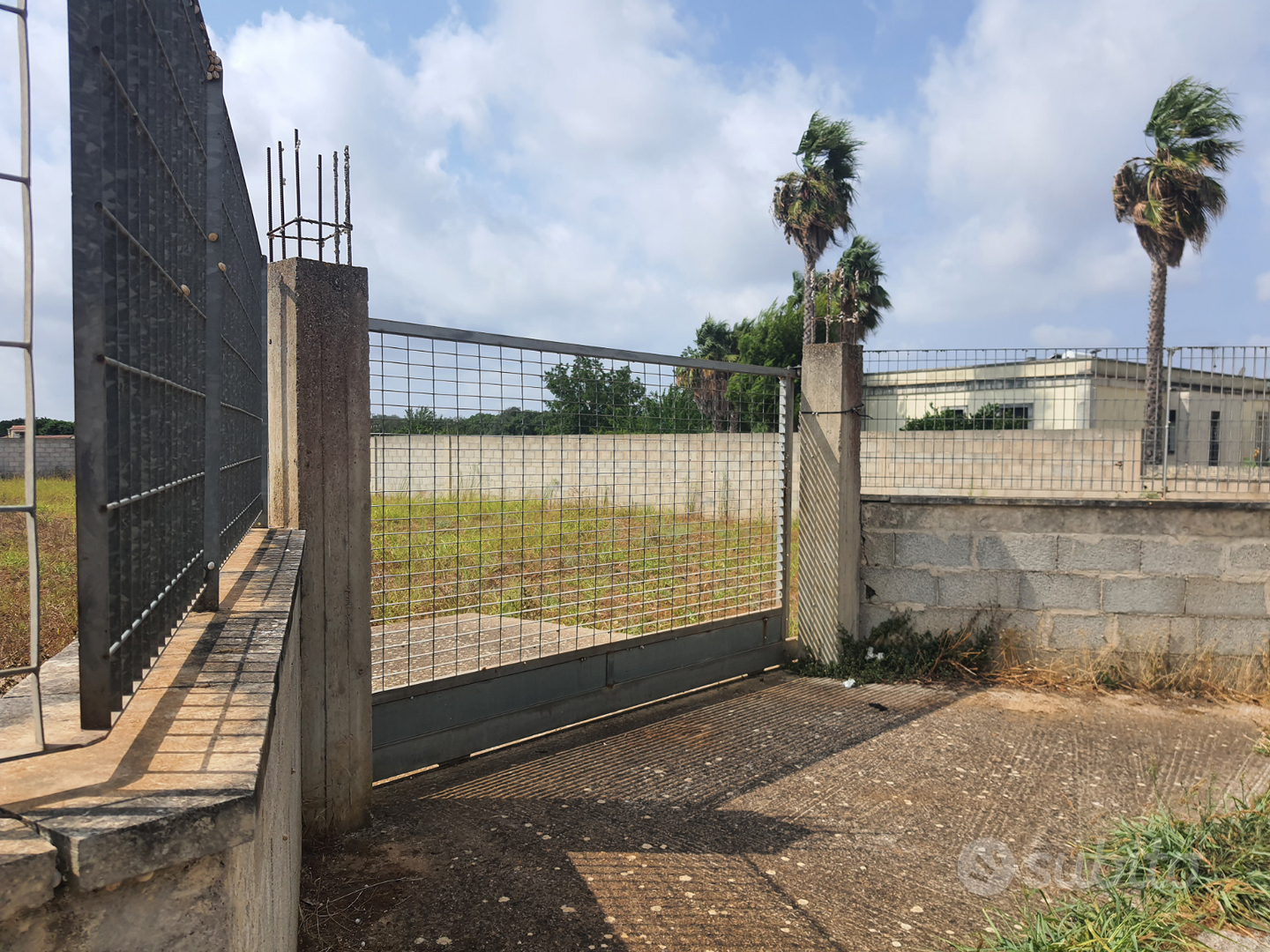 Terreno recintato con alberi da frutto - Vista 4