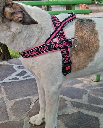 Pettorina cane Camon Dynamic Dog - taglia 80