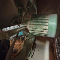 ventilatore elicoidale trifase 