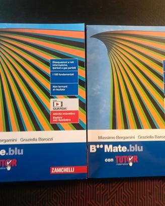 Zanichelli mate blu nuovo