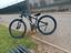 Immagine 6