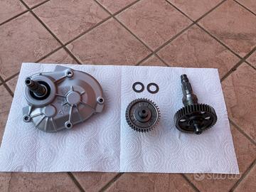 Rapporti e copri rapporti piaggio zip mk1