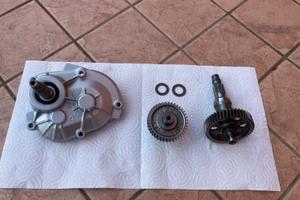 Rapporti e copri rapporti piaggio zip mk1