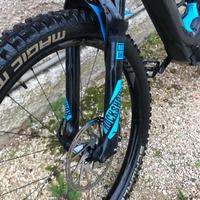 Specialized levo turbo