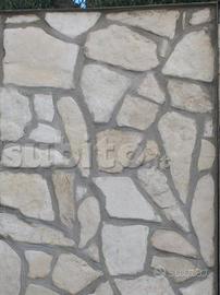 Scorzetta di Trani bianco neve o colorata