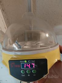 INCUBATRICE UOVA DI RETTILI 