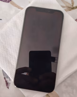 Iphone 12 Pro 256gb grigio unico proprietario