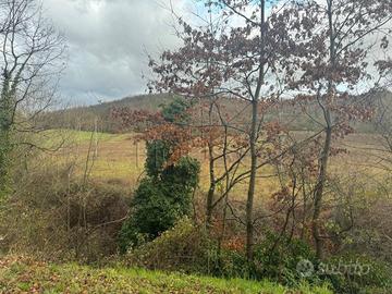 Terreno di 5300 m² a Città di Castello