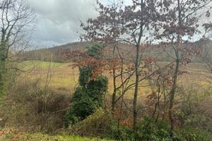 Terreno di 5300 m² a Città di Castello