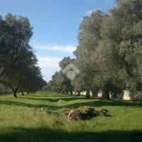 TER. RESIDENZIALE A CAROVIGNO