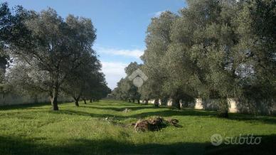 TER. RESIDENZIALE A CAROVIGNO