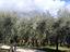 Immagine 22