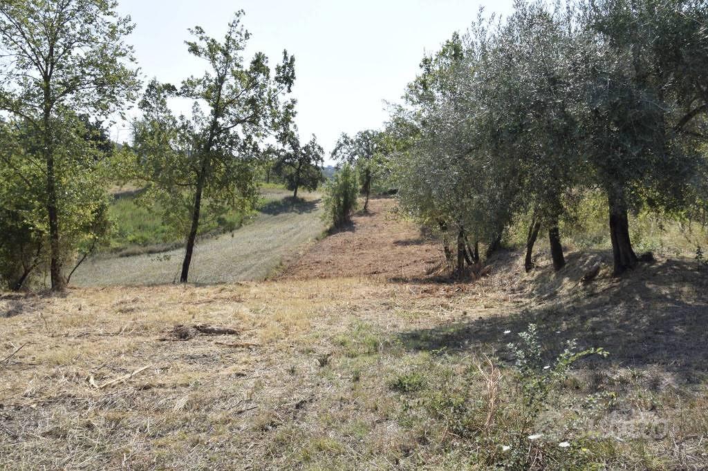 Terreno di 12000 m² a Spigno Saturnia - Vista 3