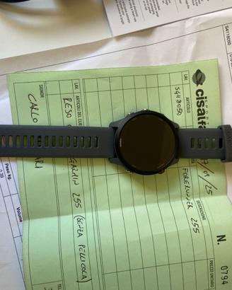 Garmin Forerunner 255