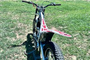 Beta EVO 290 trial 2010