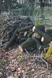  tronchi e tronchetti 