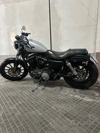 Harley davidson 883