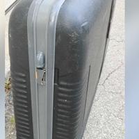 Borsa da Trasporto Bici