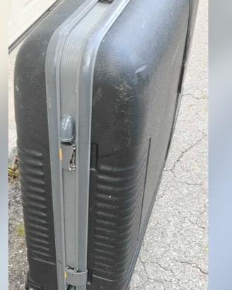 Borsa da Trasporto Bici