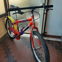 Bici Samar 20 pollici