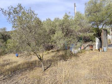 Terreno edificabile - Monserrato