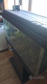 Acquario 200 lt.