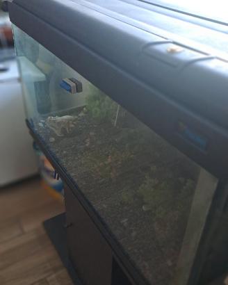 Acquario 200 lt.