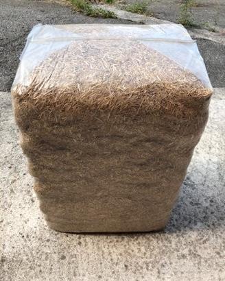 Paglia di grano lettiera per cavalli