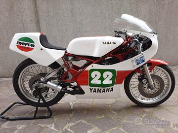 Yamaha TZ 250 - 1982