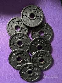 Dischi bodybuilding in ghisa 1 kg