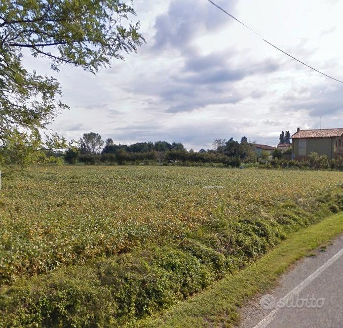 Terreno agricolo sempre coltivato e ben tenuto - Vista 3