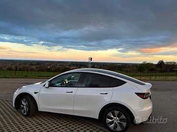 Tesla model Y RWD