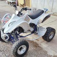 WT Motors Altro modello